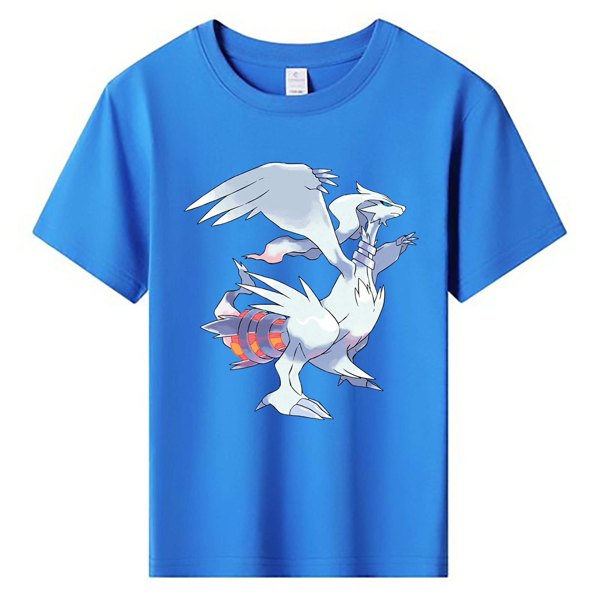 （画像用） ポケットモンスター Pokémon 綿100％キッズTシャツ（フロントプリント）